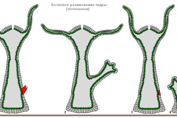 Официальный сайт кракен тор