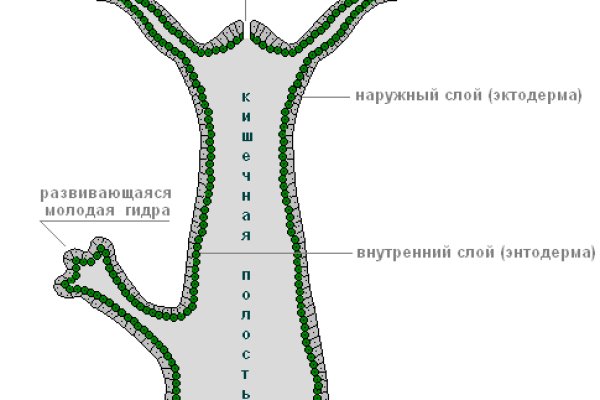 Kraken сайт зеркала krakens15 at